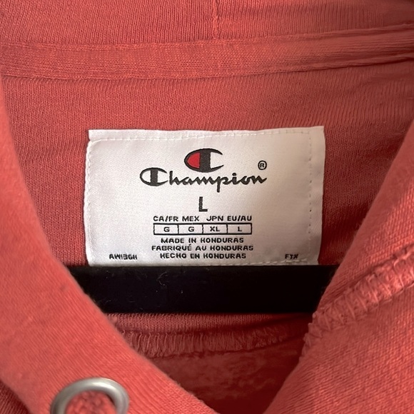 Champion Reverse Weave Garment-Dyed Hooded Sweatshirt Large - Picture 5 of 9